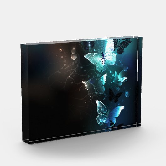 Mint Night Butterflies Fotoblokken (Links)