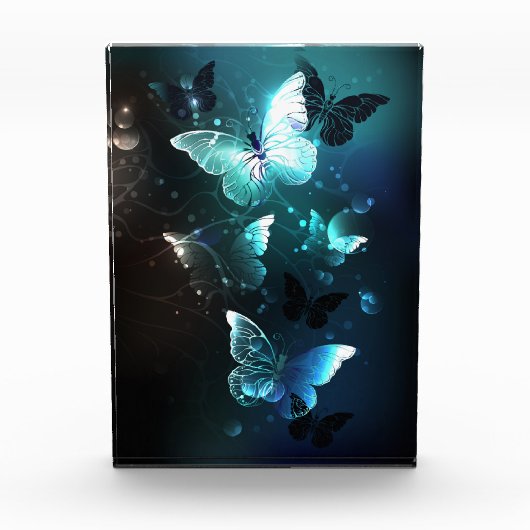 Mint Night Butterflies Fotoblokken (Voorkant)