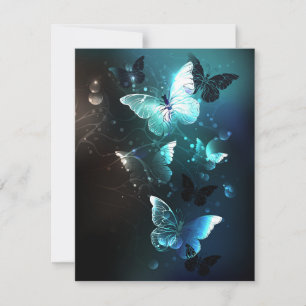 Mint Night Butterflies Kaart