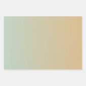 Mint Peach White Daisies Floral Inpakpapier Vel (Voorkant 2)