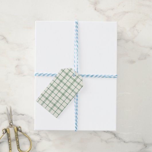 Mint Plaid Cadeaulabel (Met Touw)