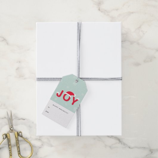 Mint Snow Joy Holiday Gift Labels Cadeaulabel (Met Touw)