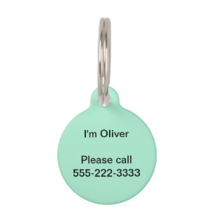 Mint Solid Color Huisdierpenning