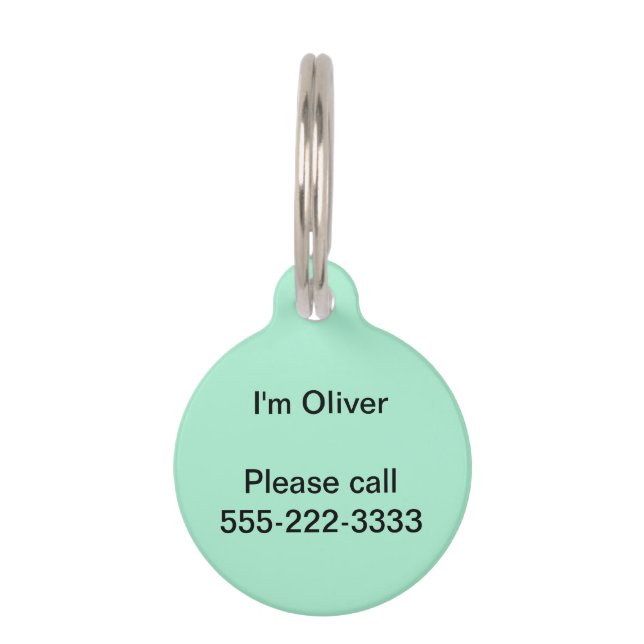 Mint Solid Color Huisdierpenning (Voorkant)