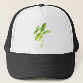 Mint waterverf Mint Trucker Pet