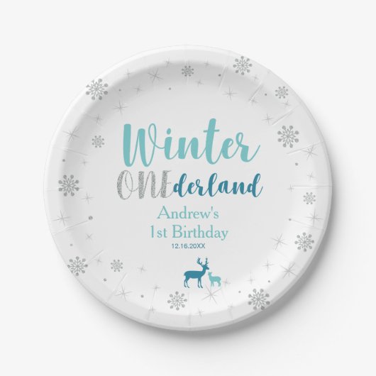 Mint Winter Onederland Boy 1st Birthday Party Papieren Bordje (Voorkant)