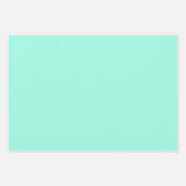 Mint & Witte Bloem Lattice Patroon Inpakpapier Vel (Voorkant 2)