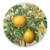 Mintons Lemons Journal Victoriaans Gele Keuken Keramische Knop (Voorkant)