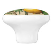 Mintons Lemons Journal Victoriaans Gele Keuken Keramische Knop (Zijkant)