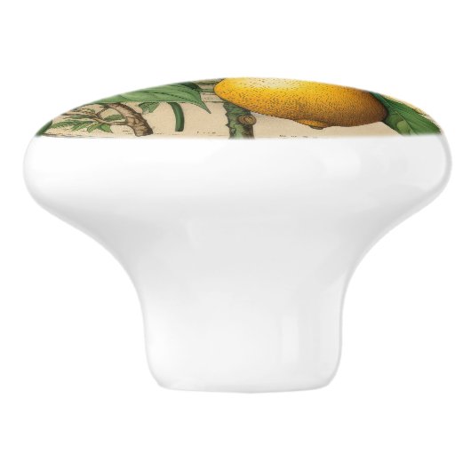 Mintons Lemons Journal Victoriaans Gele Keuken Keramische Knop (Zijkant)