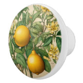 Mintons Lemons Journal Victoriaans Gele Keuken Keramische Knop (Rechts)