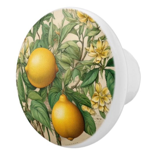 Mintons Lemons Journal Victoriaans Gele Keuken Keramische Knop (Rechts)