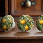Mintons Lemons Journal Victoriaans Gele Keuken Keramische Knop