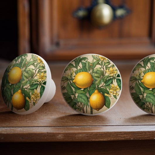 Mintons Lemons Journal Victoriaans Gele Keuken Keramische Knop
