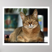 Minu - Minu Poster (Voorkant)