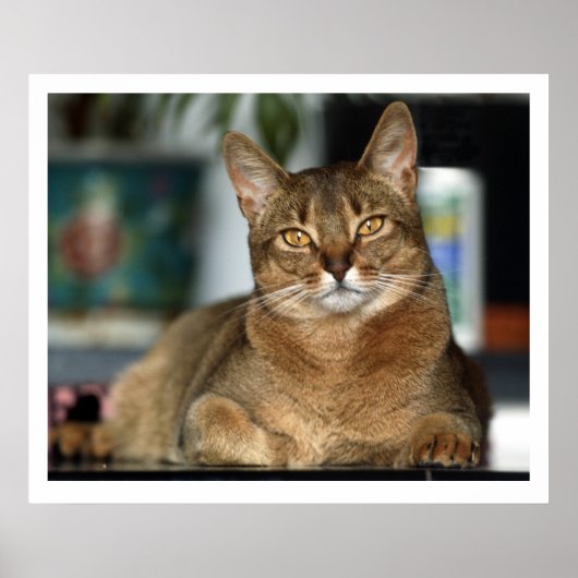 Minu - Minu Poster (Voorkant)