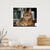 Minu - Minu Poster (Keuken)