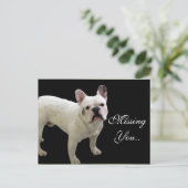 MIping You White French Bulldog briefkaart (Staand voorkant)