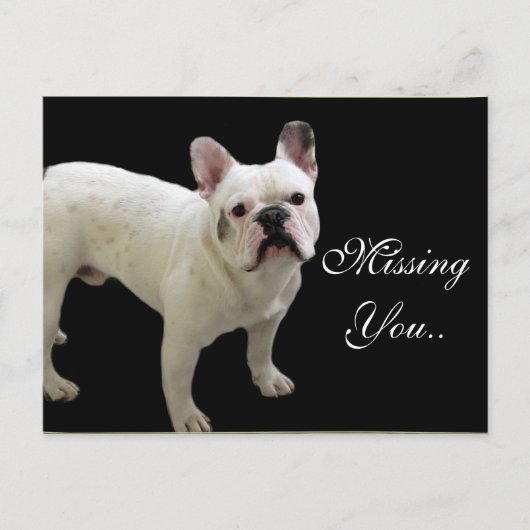 MIping You White French Bulldog briefkaart (Voorkant)