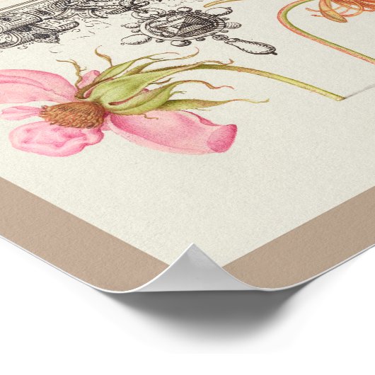 Mira Calligraphiae Monumenta 003 Poster (Hoek)