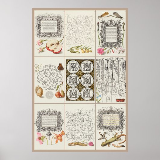 Mira Calligraphiae Monumenta 003 Poster (Voorkant)