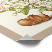 Mira Calligraphiae Monumenta 005 Poster (Hoek)