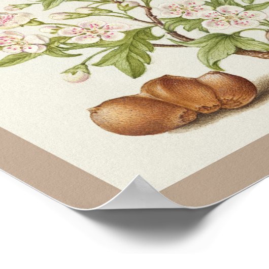 Mira Calligraphiae Monumenta 005 Poster (Hoek)