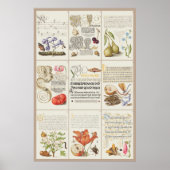 Mira Calligraphiae Monumenta 005 Poster (Voorkant)