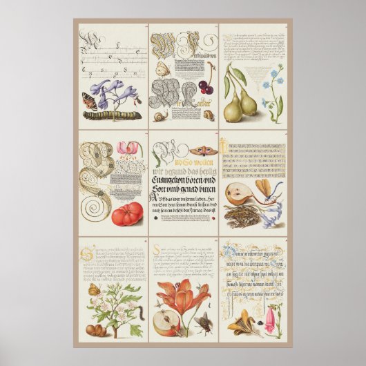 Mira Calligraphiae Monumenta 005 Poster (Voorkant)