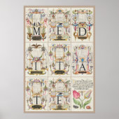 Mira Calligraphiae Monumenta Meditate Poster (Voorkant)