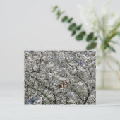 Mirabelle Blossom Briefkaart (Staand voorkant)