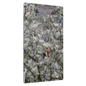 Mirabelle Blossom Clipboard Klembord (Rechts)