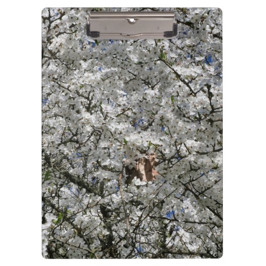 Mirabelle Blossom Clipboard Klembord (Voorkant)
