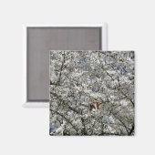 Mirabelle Blossom Fridge Magnet (Voorkant / Achterkant)