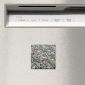 Mirabelle Blossom Fridge Magnet (Insitu (Vaatwasser))