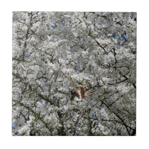 Mirabelle Blossom Keramische Tegel Tegeltje