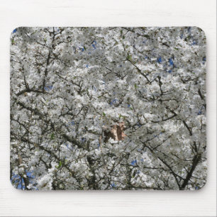 Mirabelle Blossom Mouse Mat Muismat