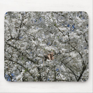 Mirabelle Blossom Mouse Mat Muismat