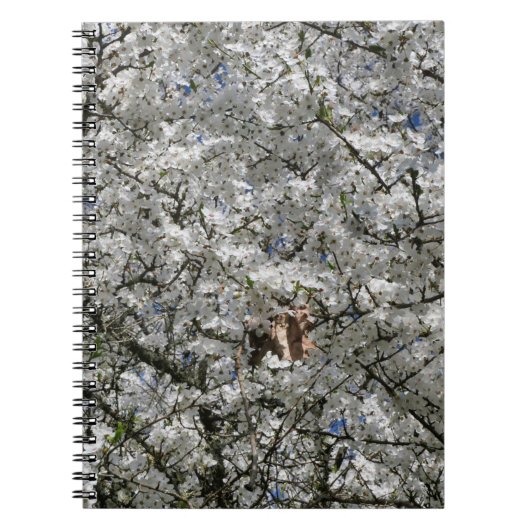 Mirabelle Blossom Spiral Notitieboek (Voorkant)