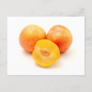 Mirabelle Plum Briefkaart