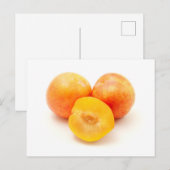 Mirabelle Plum Briefkaart (Voorkant / Achterkant)
