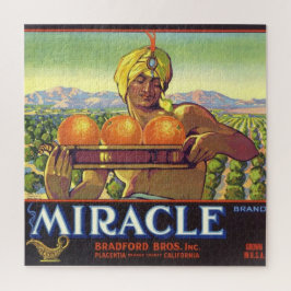 Miracle Genie Geïllustreerd 20x20 Legpuzzel