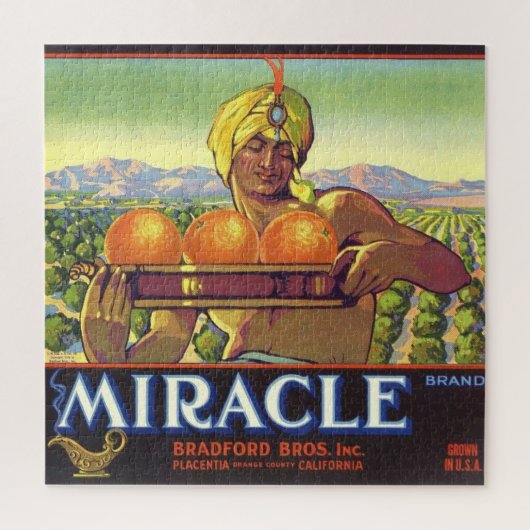 Miracle Genie Geïllustreerd 20x20 Legpuzzel (Verticaal)