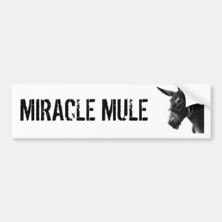 MIRACLE MULE Bumpersticker