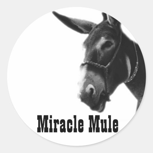 Miracle Mule Stickers (Voorkant)
