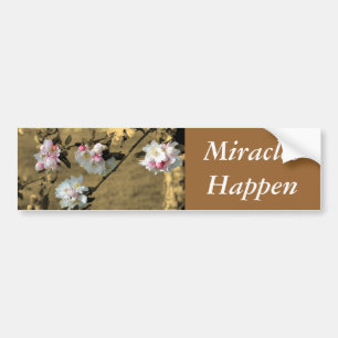 Miracles gebeuren Motivatie Bumpersticker