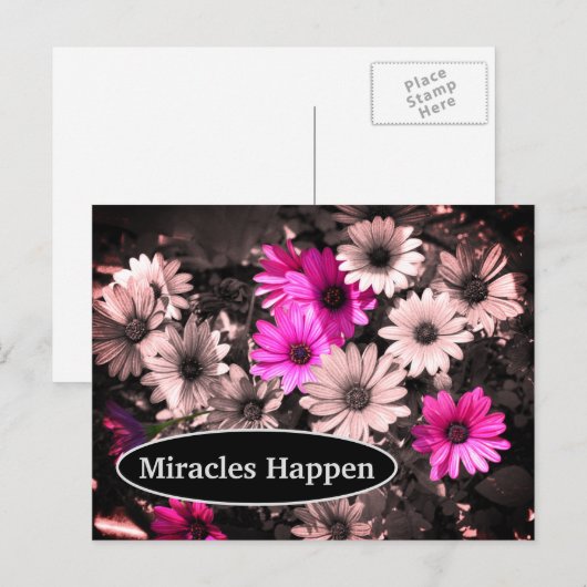 Miracles Happen Daisies Inspirerend Briefkaart (Voorkant / Achterkant)