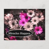 Miracles Happen Daisies Inspirerend Briefkaart (Voorkant)