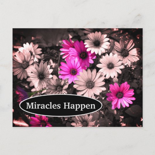 Miracles Happen Daisies Inspirerend Briefkaart (Voorkant)