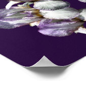 Miracles Happen Iris Flowers Inspirerend Poster (Hoek)